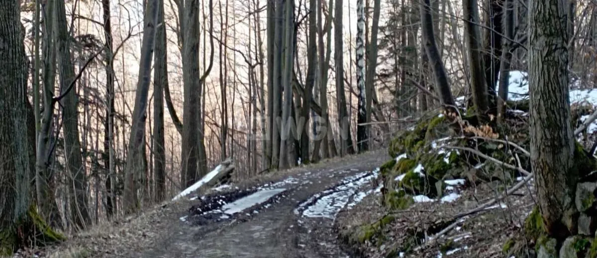 Działka na sprzedaż Karpacz