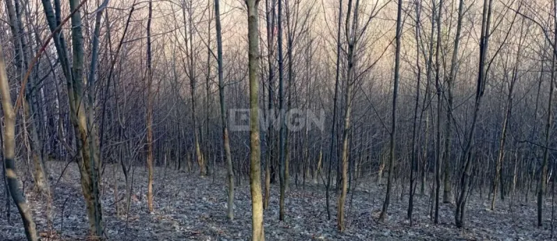 Działka na sprzedaż Karpacz
