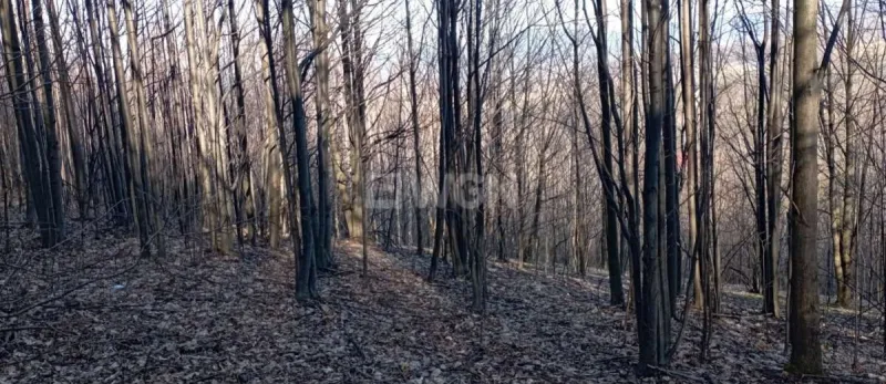 Działka na sprzedaż Karpacz